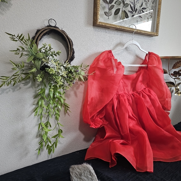 SELKIE Winter Red Puff Dress, Cute Viral Ruby Organza Princess Dress - Picture 8 of 12
